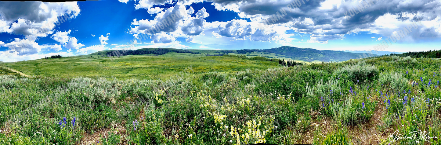 Uinta Spring