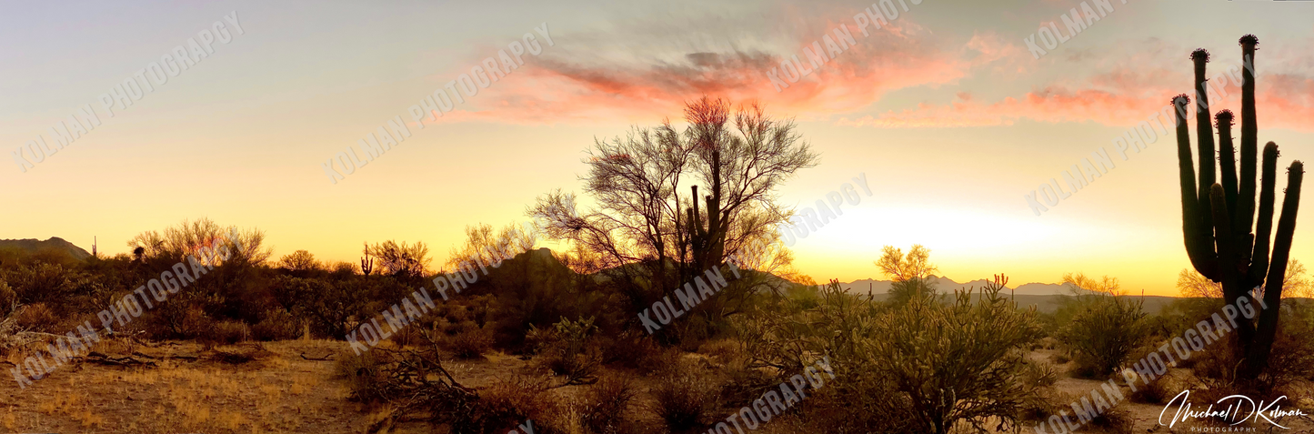 Desert At Dusk