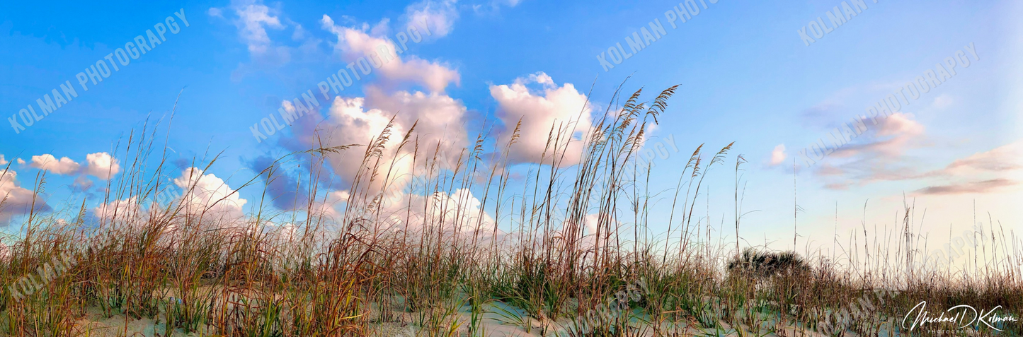 Sand & Sky