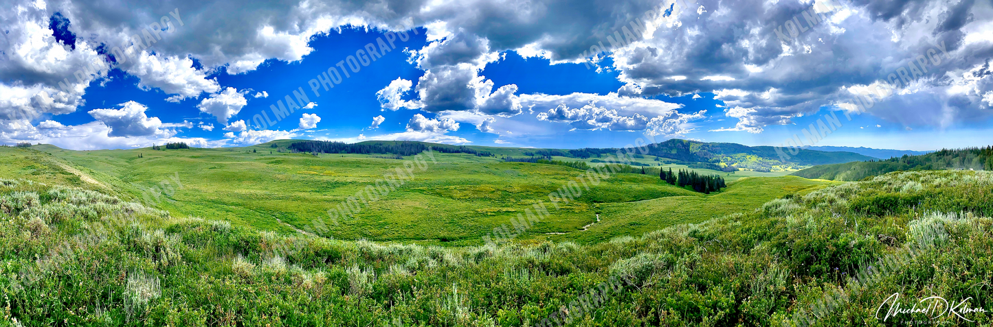 Mountain Meadows