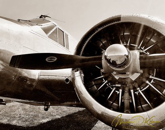 Beechcraft 18 SEPIA